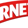 ernet-logo