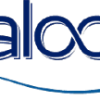saloon-logo